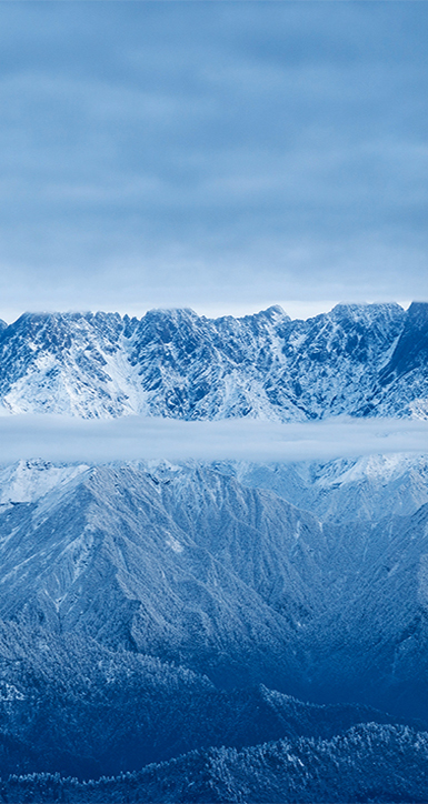 关于PA旗舰厅官网