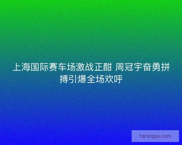 上海国际赛车场激战正酣 周冠宇奋勇拼搏引爆全场欢呼