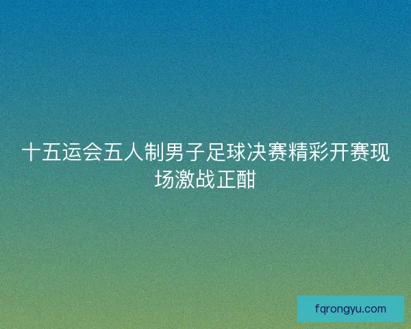 十五运会五人制男子足球决赛精彩开赛现场激战正酣 十五运会五人制男子足球决赛精彩开赛现场激战正酣