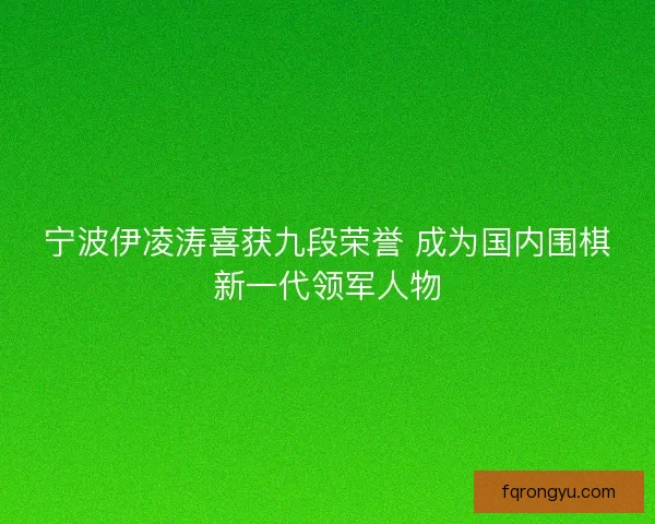 宁波伊凌涛喜获九段荣誉 成为国内围棋新一代领军人物